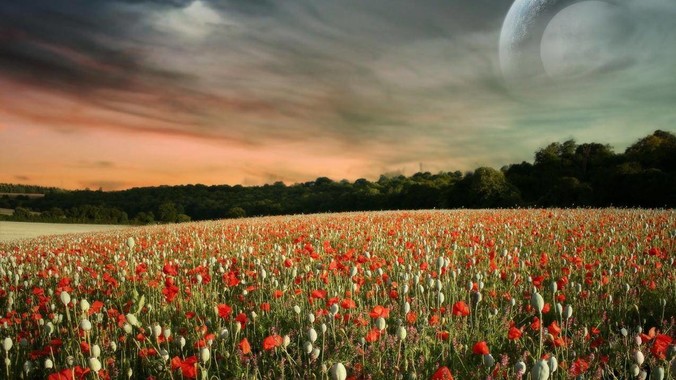 为何有人说三亚景色不输泰国，中国游客却更爱去泰国？